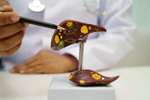endocrinology